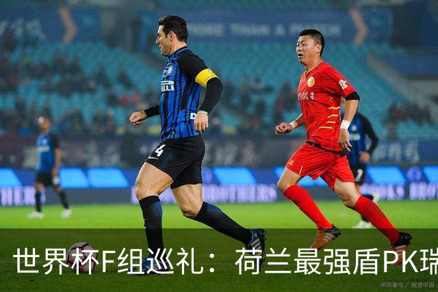 世界杯F组巡礼：荷兰最强盾PK瑞典犀利刀 日本短板明显