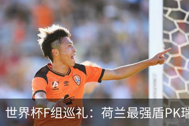 世界杯F组巡礼：荷兰最强盾PK瑞典犀利刀 日本短板明显