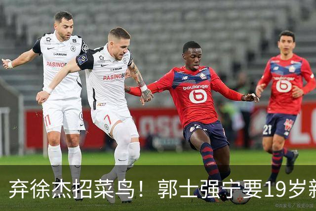 弃徐杰招菜鸟！郭士强宁要19岁新秀也不要CBA全明星票王！跟广东男篮有仇？