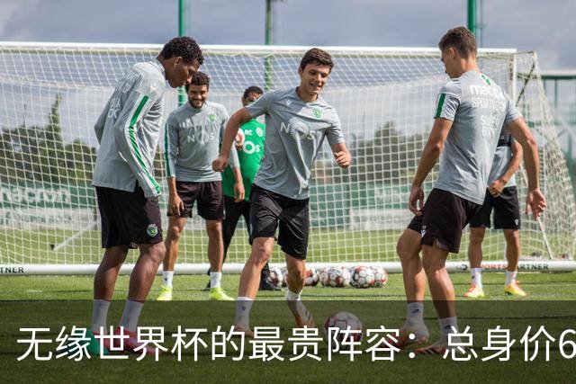 无缘世界杯的最贵阵容：总身价6.7亿 意大利5人