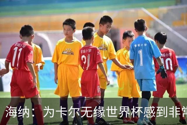 海纳：为卡尔无缘世界杯感到非常遗憾 他的未来依然无比广阔