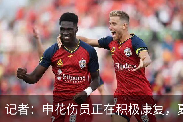 记者：申花伤员正在积极康复，夏窗人员调整工作稳步推进中